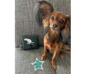 Stickdatei ITH - Tasche Gassitasche Kotbeutel 2 Motive